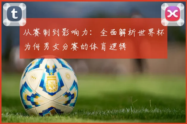 从赛制到影响力：全面解析世界杯为何男女分赛的体育逻辑